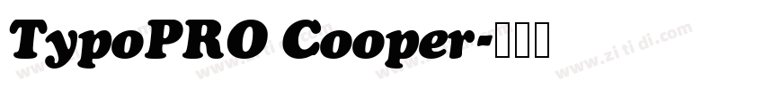 TypoPRO Cooper字体转换